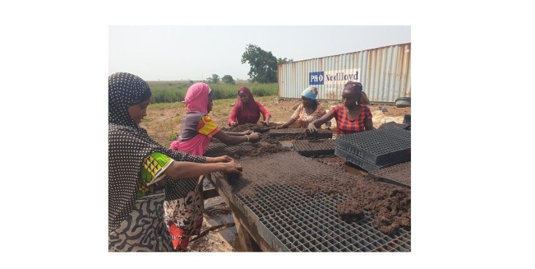 Tomato Jos Wins The 2024 SAVE FOOD Project Competition