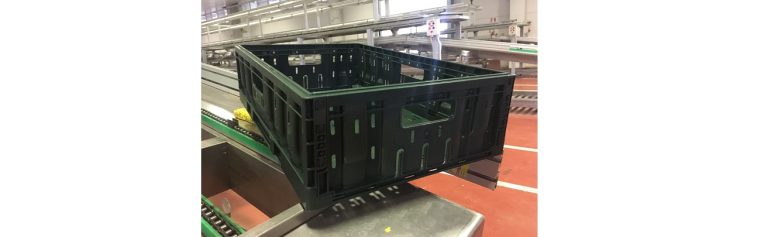 Il Visone Streamlines Grape Logistics with Tosca’s Reusable Crates