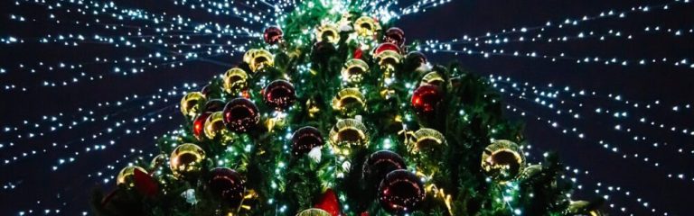 7 Reasons Why Plastics Save Your Christmas