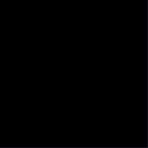 spot_img
